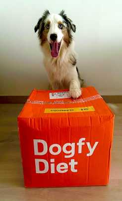 Avatar de Ferran Bertran Cruz